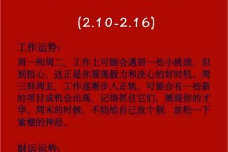 属狗人的运势变化：从事业到爱情的全方位影响