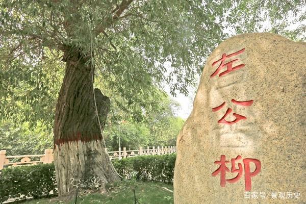 如何为你的武馆起一个独特且有吸引力的名字 如何为你的武馆起一个独特且有吸引力的名字