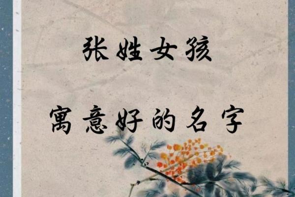 张姓宝宝起名指南 精选寓意深远的名字推荐 张姓宝宝起名指南 精选寓意深远的名字推荐