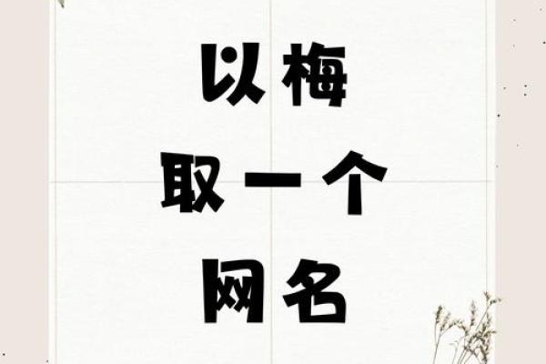 梅字公司起名的创意与技巧解析