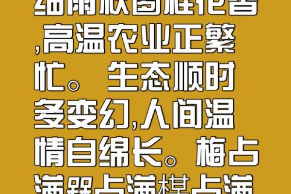 梅字公司起名的创意与技巧解析