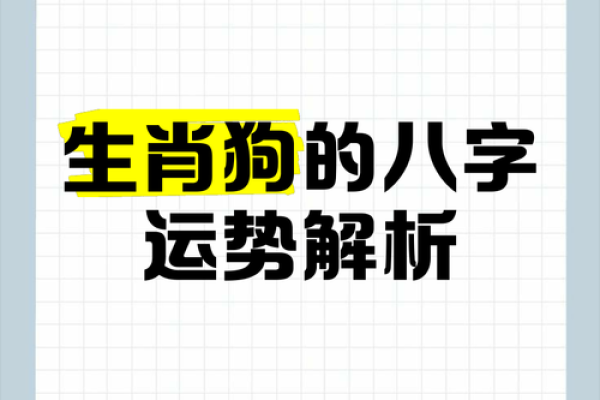 属狗人感情运势解读 属狗人感情运势解读