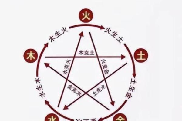 针五行属性的秘密:了解它如何影响我们的健康与运势 针五行属性的秘密:了解它如何影响我们的健康与运势