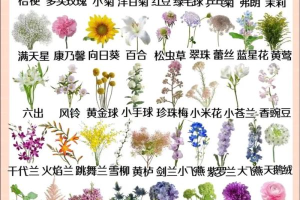 探索花卉世界 全面了解常见花卉名字 探索花卉世界 全面了解常见花卉名字