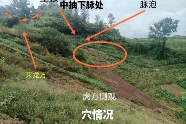 掌握案山风水法则，改善家庭运势的绝招