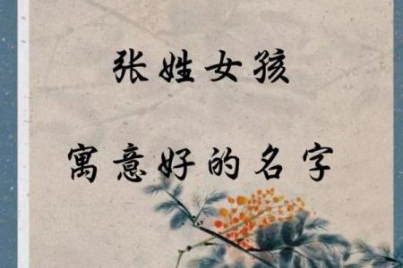 张姓宝宝起名指南 精选寓意深远的名字推荐