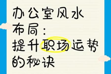 办公室花草风水布局如何提升工作运势