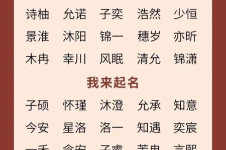 龙宝宝生辰八字起名技巧：如何为孩子取个吉利又有寓意的名字？