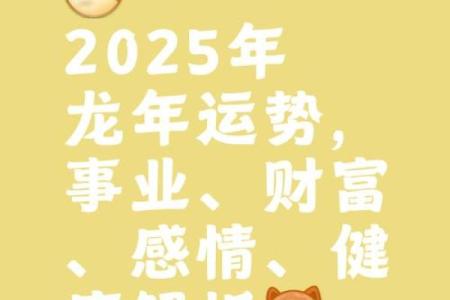 属龙人今年的运势波动如何影响财运与健康