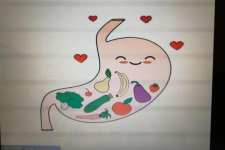 毛豆五行属什么？揭开其中的奥秘与意义