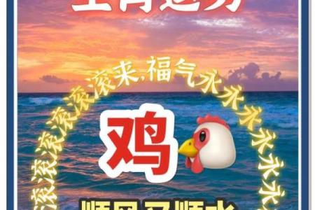 属鸡人健康运势及注意事项
