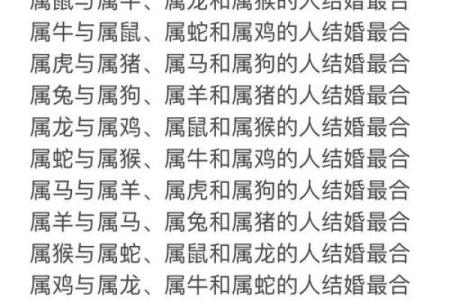属狗人感情运势解读