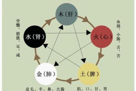 五行骨重表揭秘：如何通过五行分析你的身体健康状况