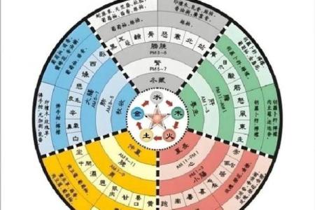 针五行属性的秘密：了解它如何影响我们的健康与运势
