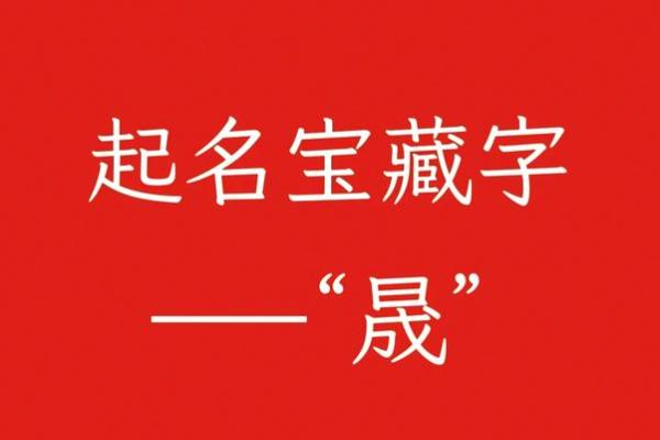 探索公司起名的流行趋势