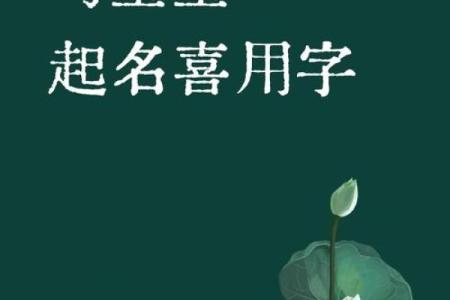 性马宝宝起名字的创意灵感与技巧