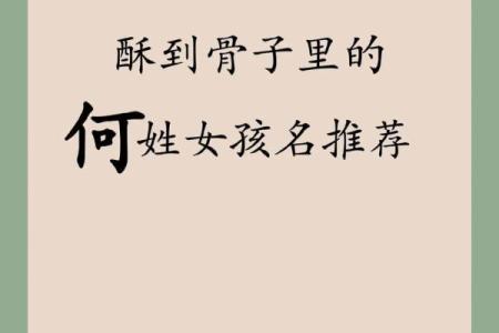 为何选择姓何的宝宝名字最有意义