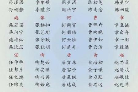 名典免费起名公司，精准命名让未来更精彩