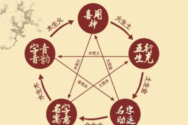 翾字五行属性揭秘:了解它与命理的关系 翾字五行属性揭秘:了解它与命理的关系