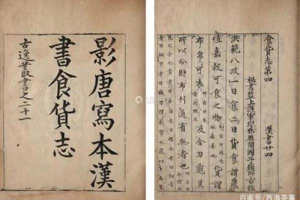 万年历破土重生,揭秘历史与未来的神秘交汇点 万年历破土重生,揭秘历史与未来的神秘交汇点