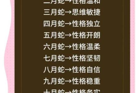 生肖蛇运势全解析：事业与财运的关键时刻