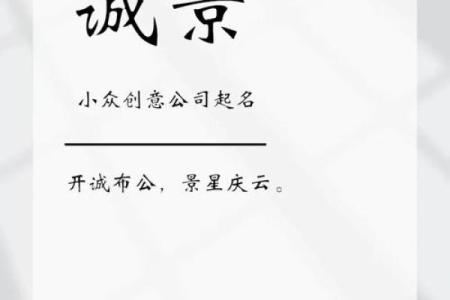 如何为商务有限公司选择一个独特且具有吸引力的名称