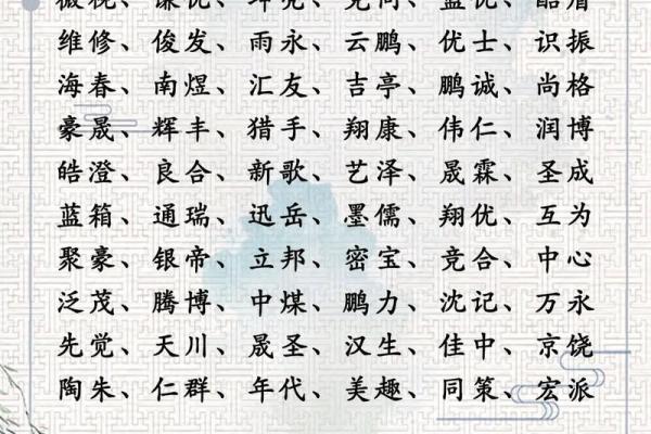 如何为转运公司起一个独特且吸引人的名字