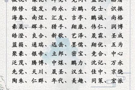 如何为转运公司起一个独特且吸引人的名字