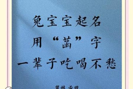 为宝宝取一个含“开”字的名字，象征新生与希望