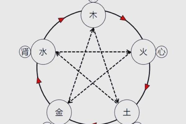了解杍五行属性,揭开它对命运的影响奥秘 了解杍五行属性,揭开它对命运的影响奥秘