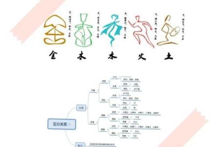 了解杍五行属性，揭开它对命运的影响奥秘