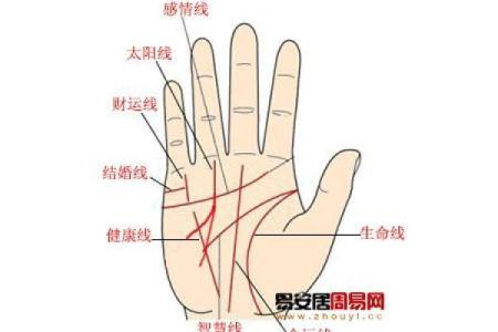 通过李泽楷八字看他如何掌控财富与人生