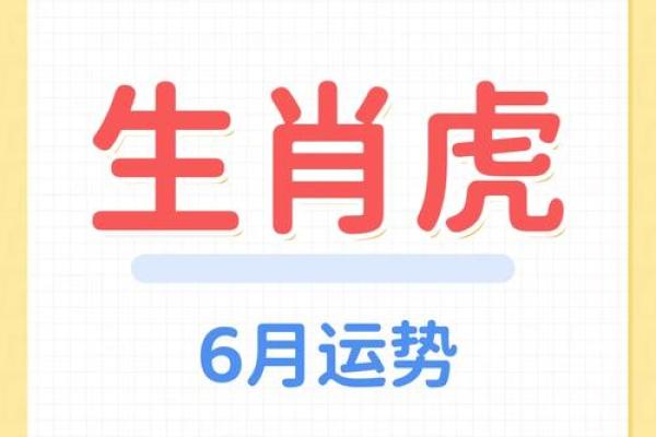 今日属虎运势指南，抓住幸运的瞬间