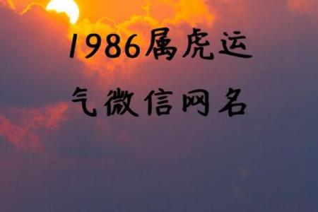 今日属虎运势指南，抓住幸运的瞬间