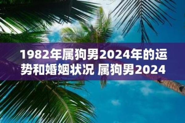 属狗人运势走势:机遇与挑战并存 属狗人运势走势:机遇与挑战并存