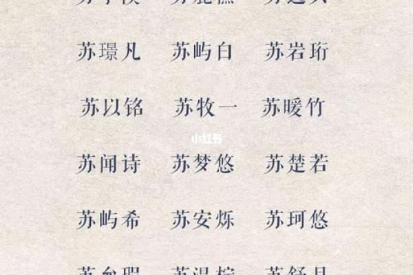 苏姓男孩取名推荐与寓意分析