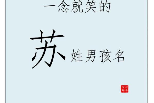 苏姓男孩取名推荐与寓意分析