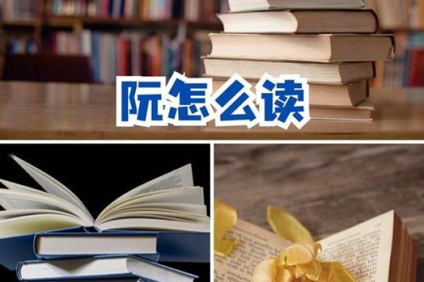 探讨阮姓在中国历史中的影响力 探讨阮姓在中国历史中的影响力
