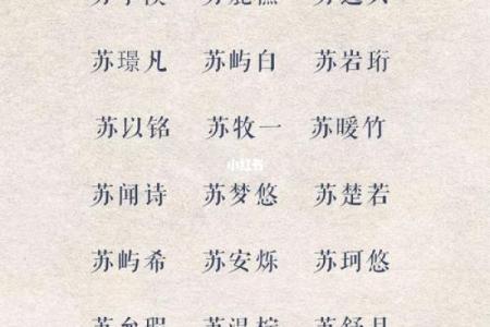 苏姓男孩取名推荐与寓意分析