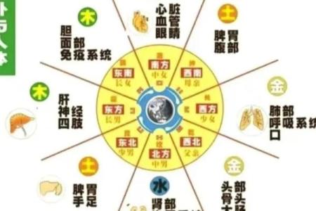 天干地支与公司命名的完美结合技巧