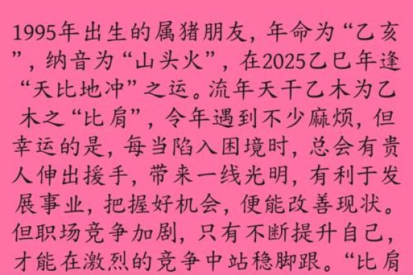 运程解析：属猪人的命运与机会