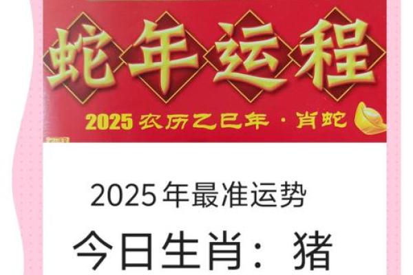 运程解析：属猪人的命运与机会