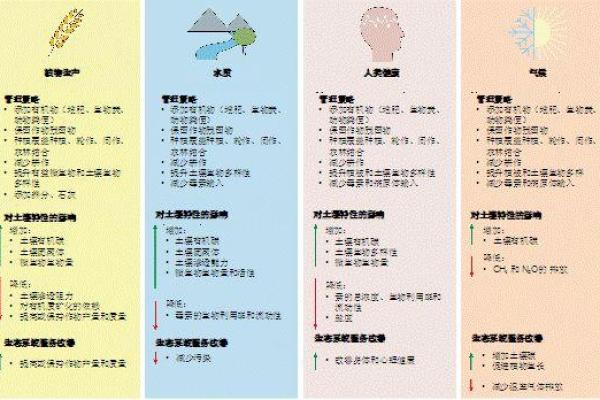 如何通过健康概念为公司起名增添竞争力