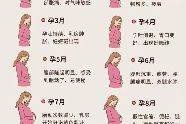 农历七月怀孕最佳时机揭秘 农历七月怀孕最佳时机揭秘