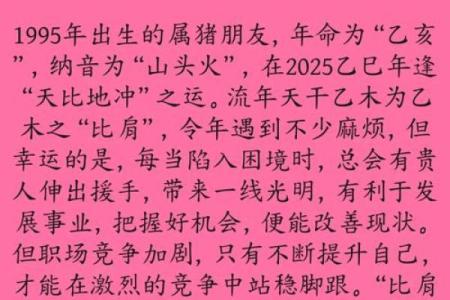 运程解析：属猪人的命运与机会