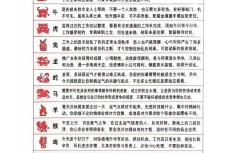 肖马的运程详解：如何迎接挑战与机遇