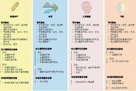 如何通过健康概念为公司起名增添竞争力