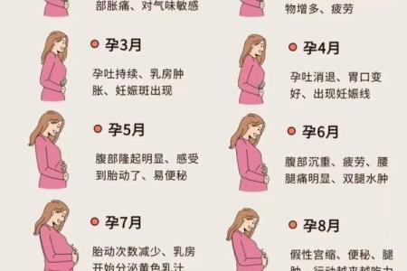 农历七月怀孕最佳时机揭秘