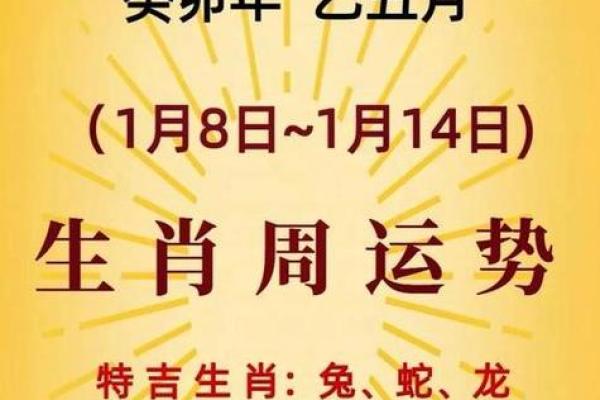 属鼠运势全解析：财运与事业的双重挑战