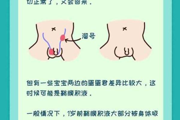 为什么农历的鸡宝宝如此与众不同? 为什么农历的鸡宝宝如此与众不同?